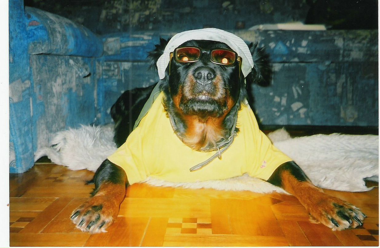 Марина Лисанец | Харьков