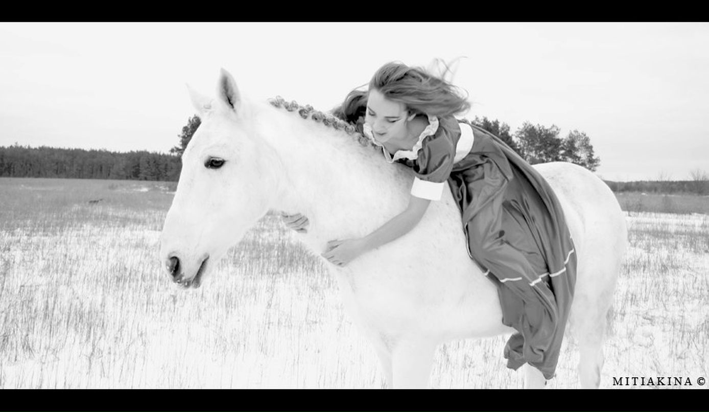 Тифани Франк | Киев