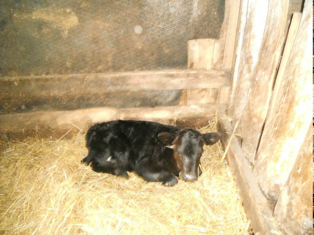 Екатерина Митрошина Олеговна | Уфа