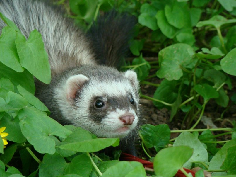 Юлия Цветкова | Санкт-Петербург