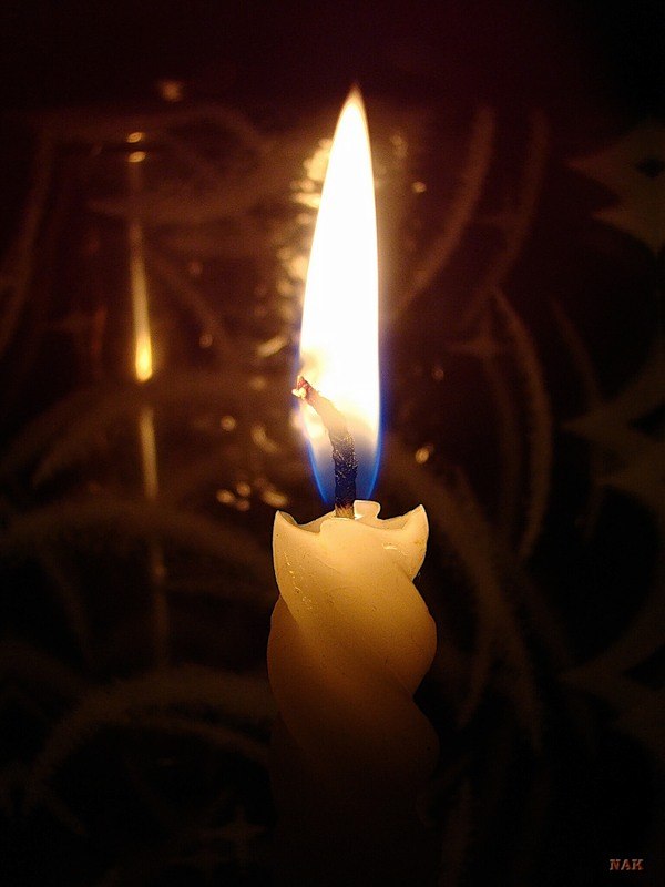 Максим Козленко Сергеевич | Кременчуг