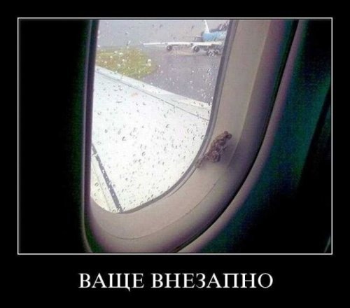 №22, Евгения Васильева, 36 лет, Санкт-Петербург №22, Евгения Васильева, 36 лет, Санкт-Петербург