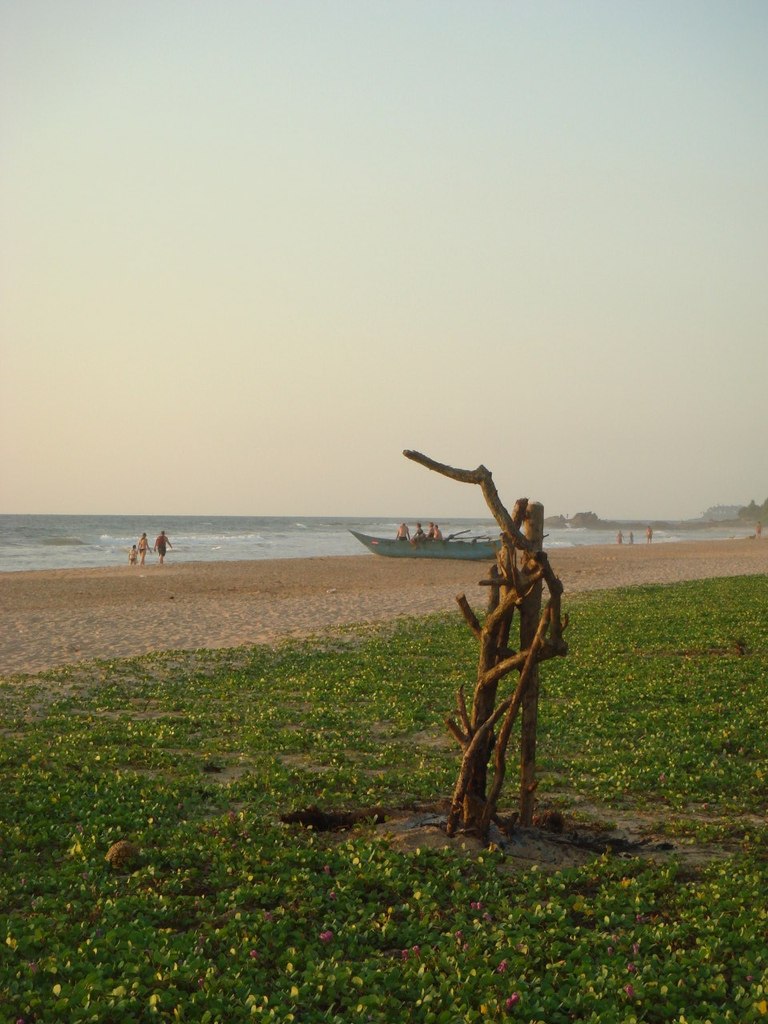 Маша Захарченко | Киев