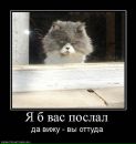 Фотография Саша Костюков