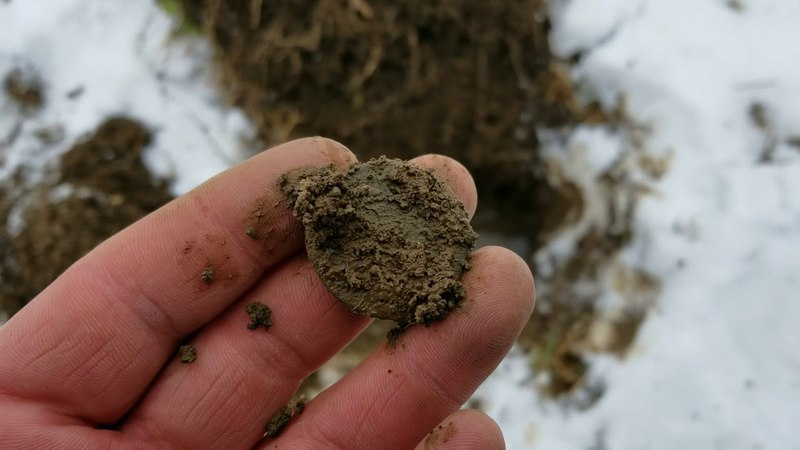 Minelab equinox hits coin a foot