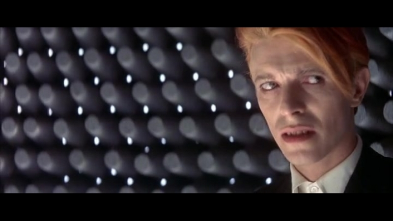 Человек, который упал на землю, The Man Who Fell to Earth