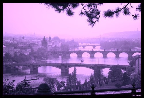 Сиреневый Туман, Россия, Москва