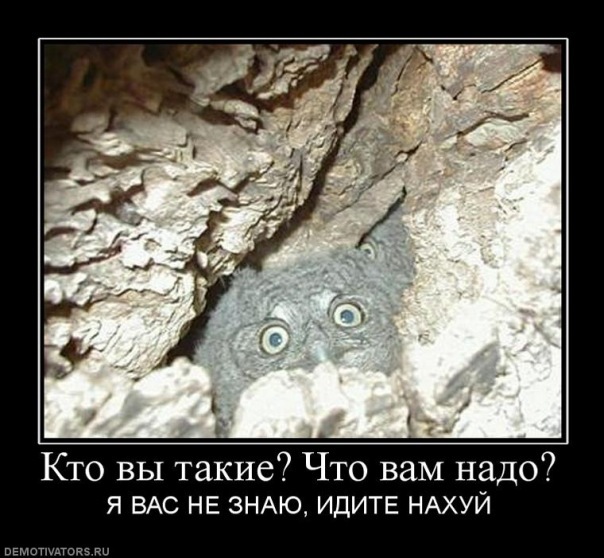 №135, Ольга Божко, Хабаровск №135, Ольга Божко, Хабаровск