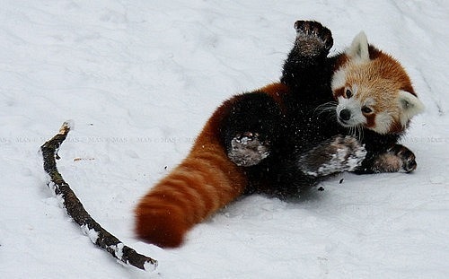 №57, Александра Галабан, 36 лет, Алешки / Цюрупинск №57, Александра Галабан, 36 лет, Алешки / Цюрупинск