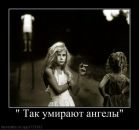 Фотография Алиса Мирошниченко