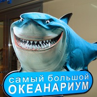 Александр Борисович