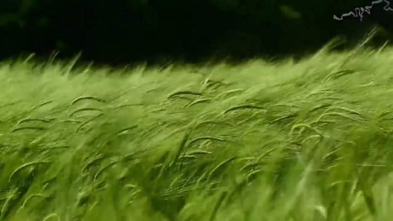 Выбор за нами, The Choice is Ours (2016) Проект