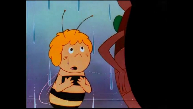 Maya the bee -- Maya And Iffi In The Rain