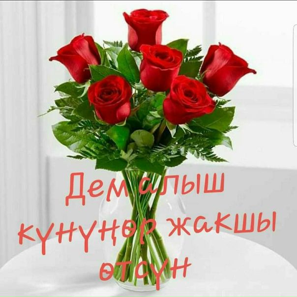 Розы и солидаго. Три розы букет. Розы 3 штуки. Букет "5 красных роз" в крымске. Высокий букет.