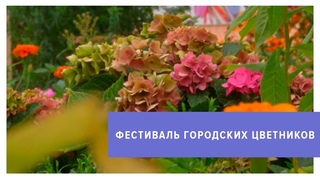 В Ставрополе выберут лучший городской цветник