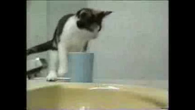 Funny