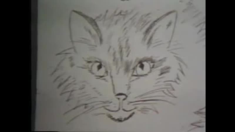 Dr. M. W. Fox Cat