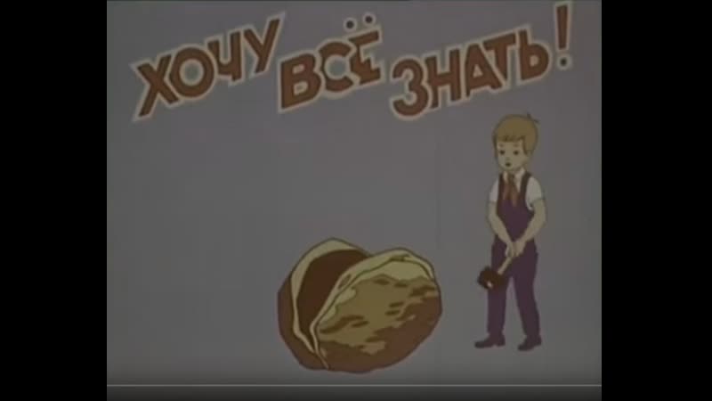Киножурнал «Хочу всё знать», №101 (1975)