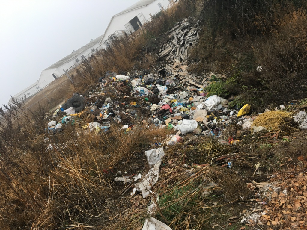 Курскую деревню заваливают гнилыми овощами и трупами животных