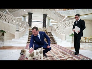 Страна Дмитрия Медведева