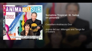 Sonatina Tropical: III. Salsa en pinones