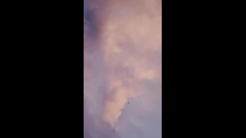 2_5384554134823241234.mp4