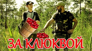 РАЗВЕДКА БОЛОТА | ЗА КЛЮКВОЙ | УЖИК