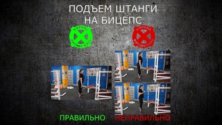 Основные ошибки при ПОДЪЕМЕ ШТАНГИ НА БИЦЕПС