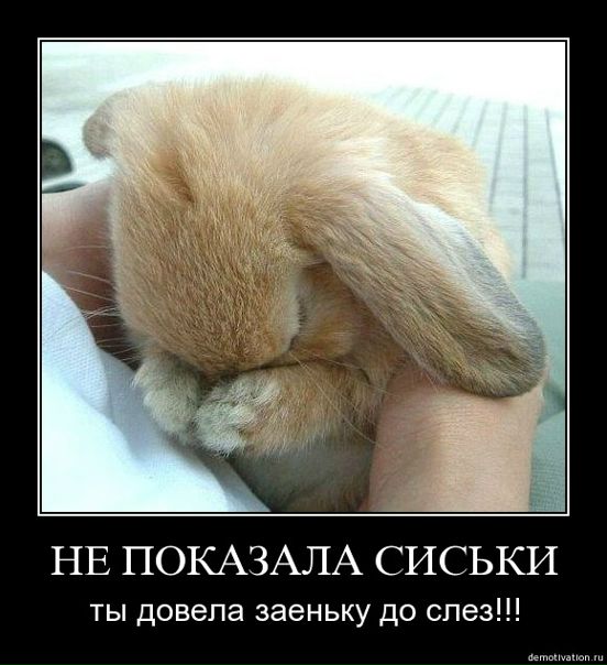 №3, Олег Литвиненко, 105 лет, Родники №3, Олег Литвиненко, 105 лет, Родники