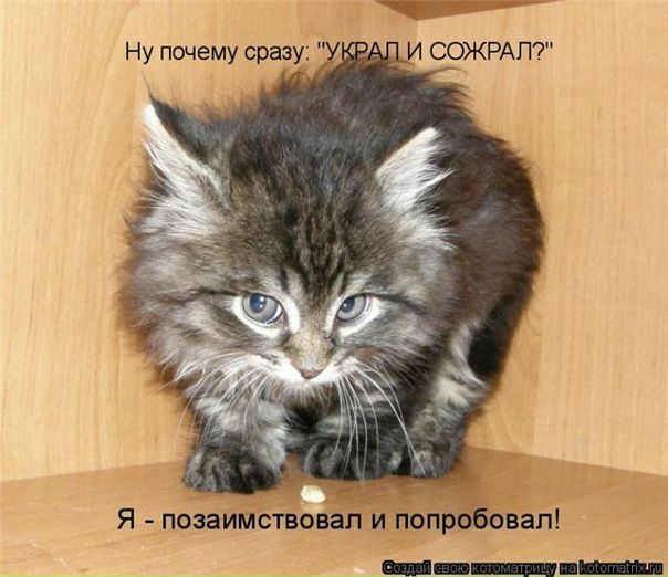 №69, Катерина Ганнущенко, 41 год, Киев №69, Катерина Ганнущенко, 41 год, Киев