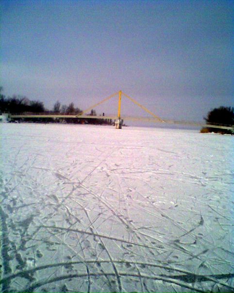 №89, Леонид Трещин, Великая Лепетиха №89, Леонид Трещин, Великая Лепетиха