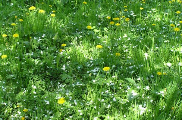 №89, Наталья Щепетнова, Москва, Россия №89, Наталья Щепетнова, Москва, Россия