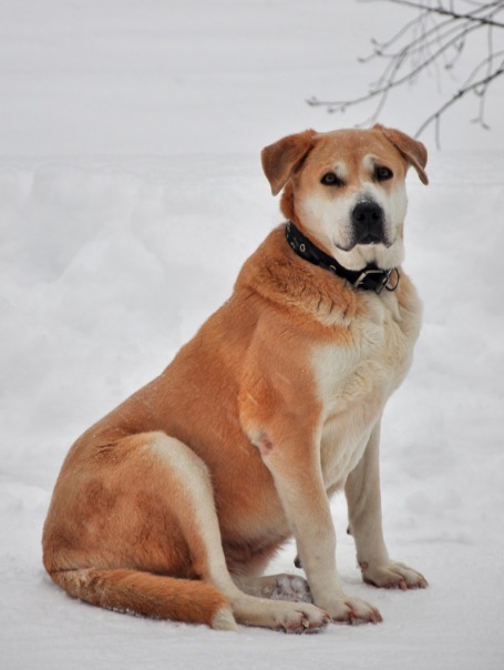 №68, Рина Сыч №68, Рина Сыч