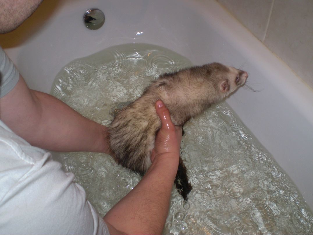 Сергей Лобаков | Москва