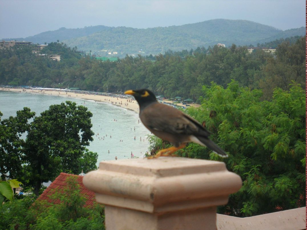 Елена Зоткина-Десненко | Самара