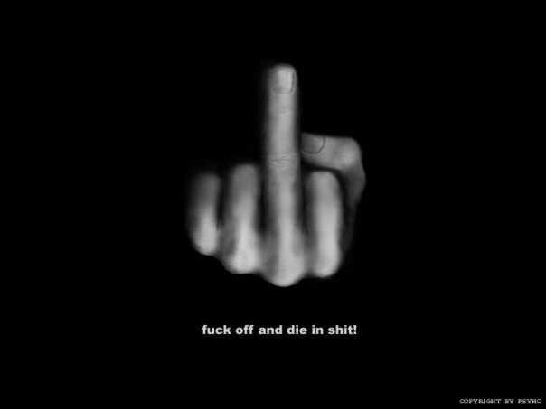 Дмитрий Новицкий | Санкт-Петербург