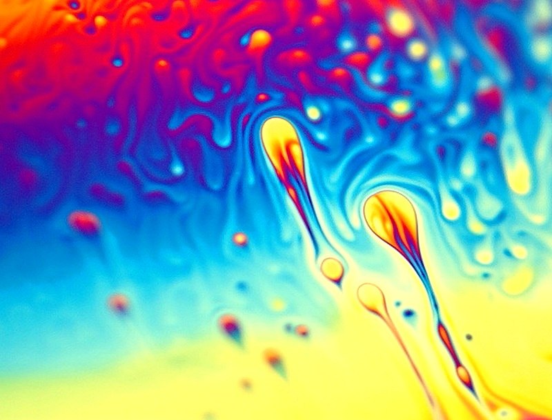 Дмитрий Клевжиц | 