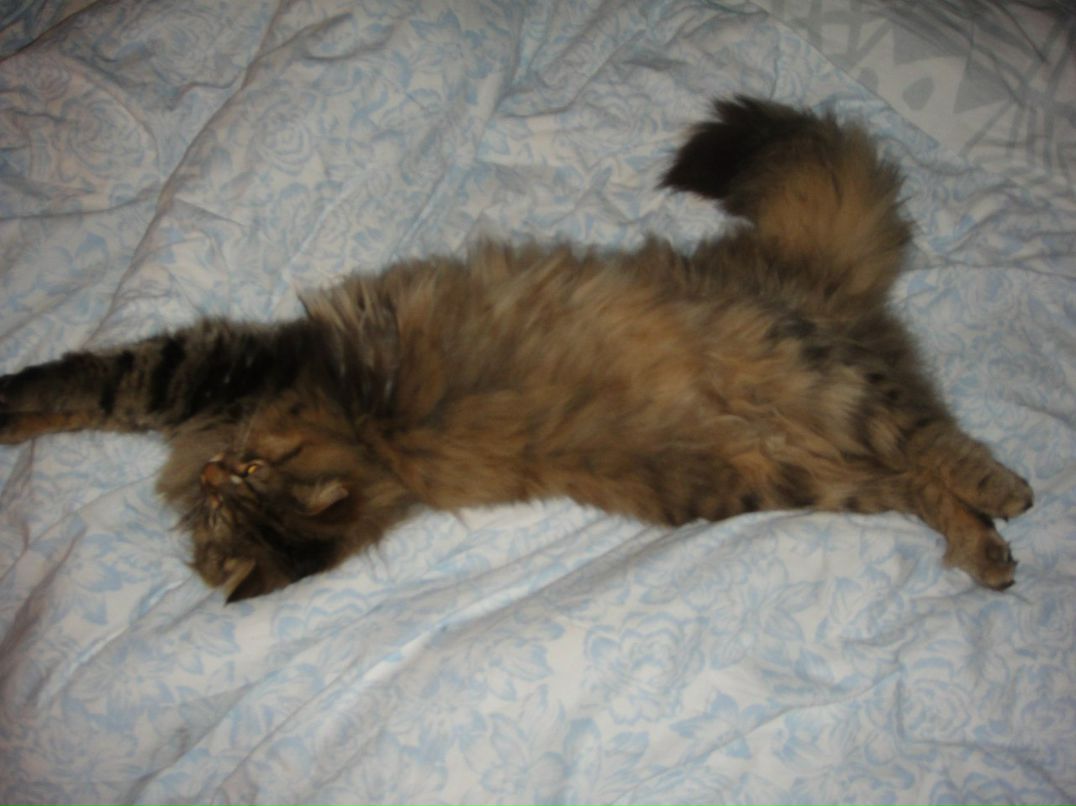 Марина Бескровная ♥ | Запорожье