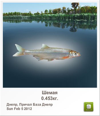 Игорь Вдовин | 