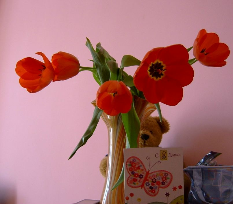 Маргарита Новоселова | Иркутск