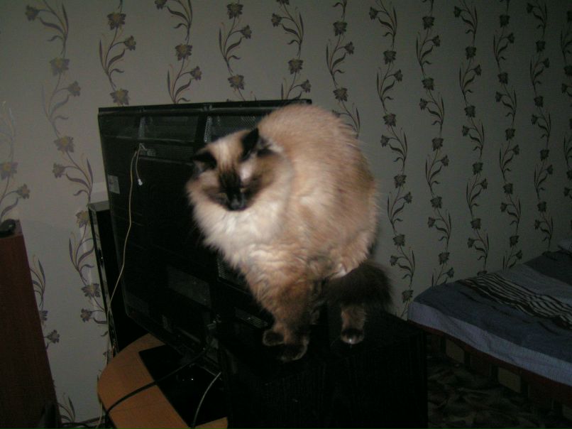 Тамара Ерастовская | Красноярск