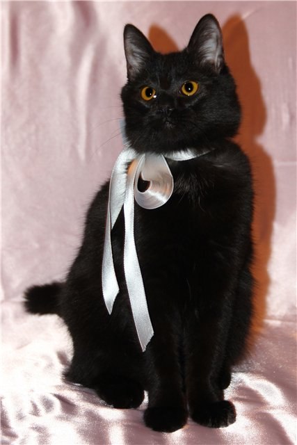 Екатерина Казаданова | Москва