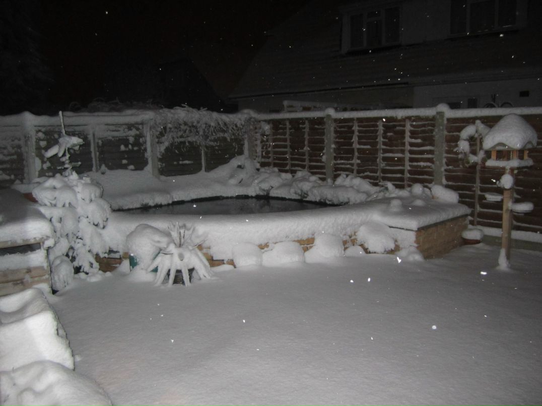 Ирина Полякова | Canvey Island