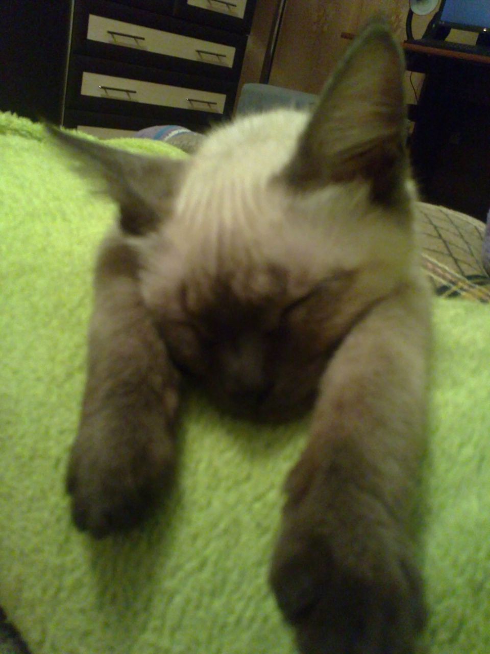 Линара Ахтямова | Альметьевск