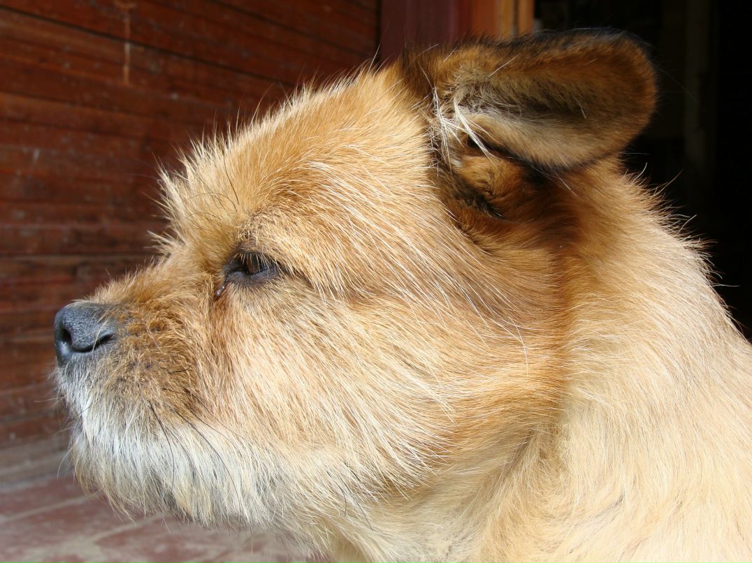 Света Иванова | Москва