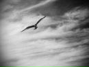 Фотография Ксения Шайгараева