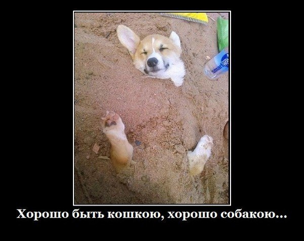 Сергей Липин 