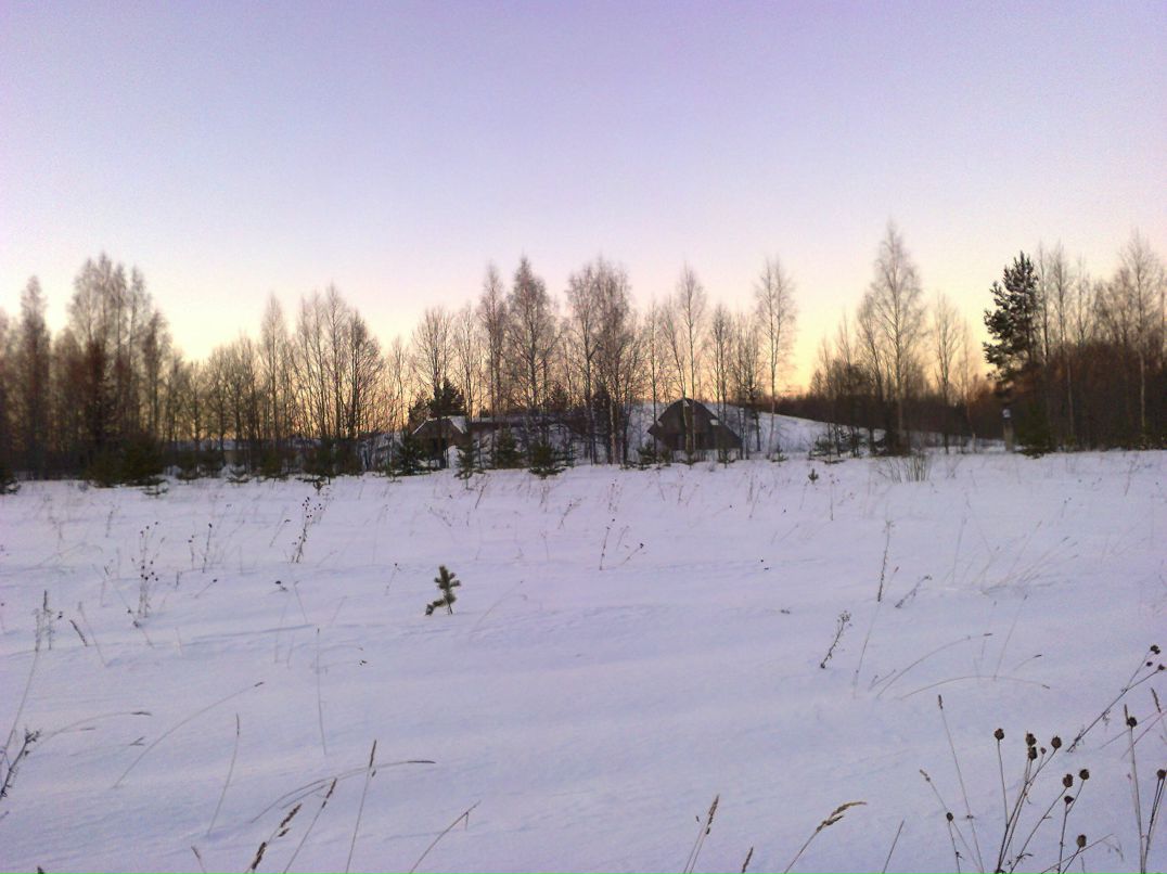 Антон Меркульев <fenix_4> | Пикалево