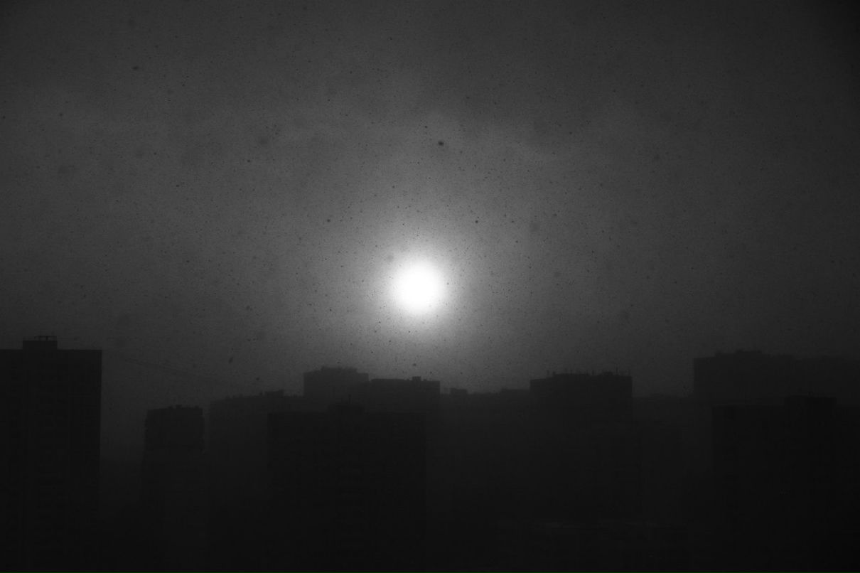 Дмитрий Квитка Николаевич | Москва