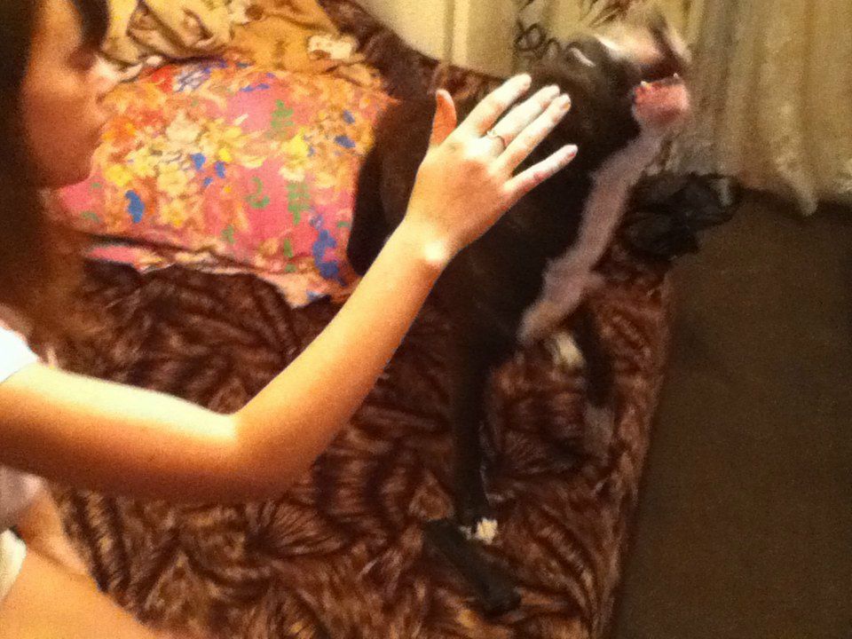 Kat Kan пил и пил | Санкт-Петербург